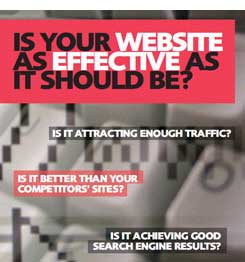 Web Audit leaflet.